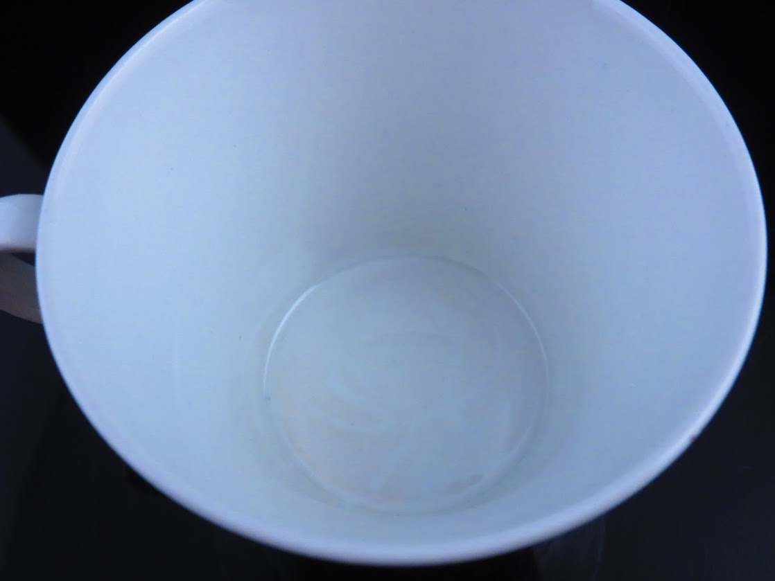 ARABIA/アラビア Loberia/ロベリア Raija Uosikkinen/ライヤウォシッキネン コーヒーカップ&ソーサー [1]