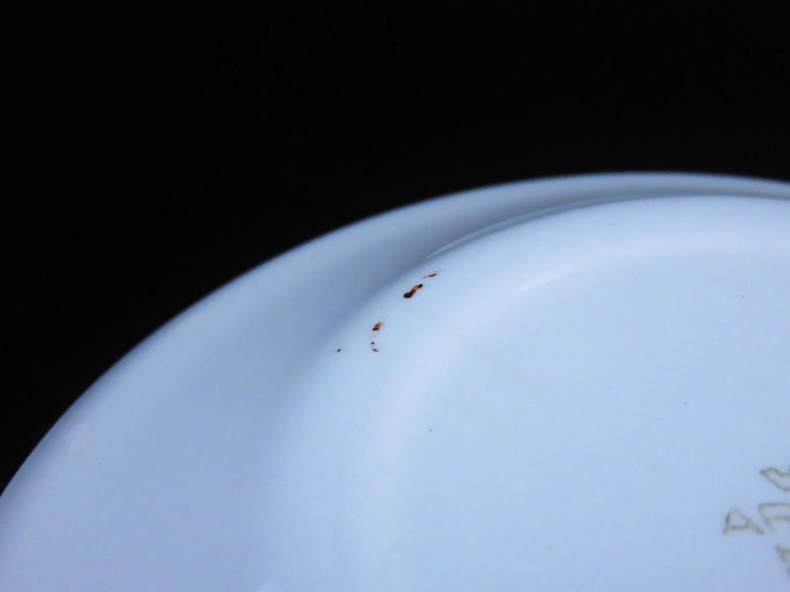 ARABIA/アラビア Loberia/ロベリア Raija Uosikkinen/ライヤウォシッキネン コーヒーカップ&ソーサー [2]