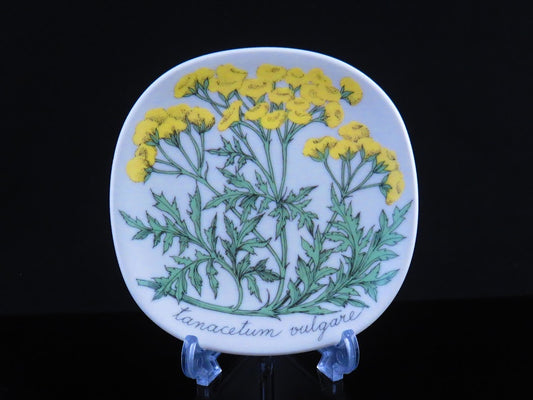 ARABIA/アラビア Botanica/ボタニカ tanacetum vulgare/タンジー Esteri Tomula/エステリトムラ ウォールプレート 絵皿 飾りプレート