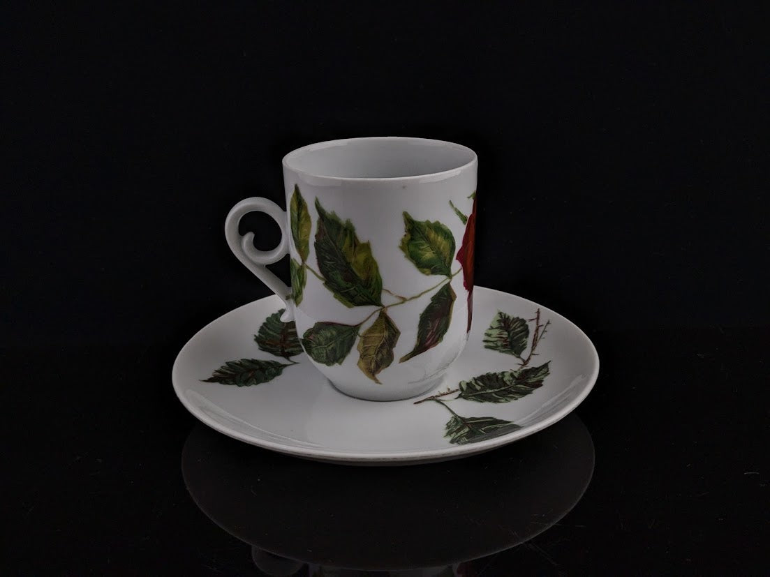 ARABIA/アラビア Ruusu/ルース カップ&ソーサー Anneli Qveflander/アンネリクヴェフランデル Marimekko/マリメッコ [1]