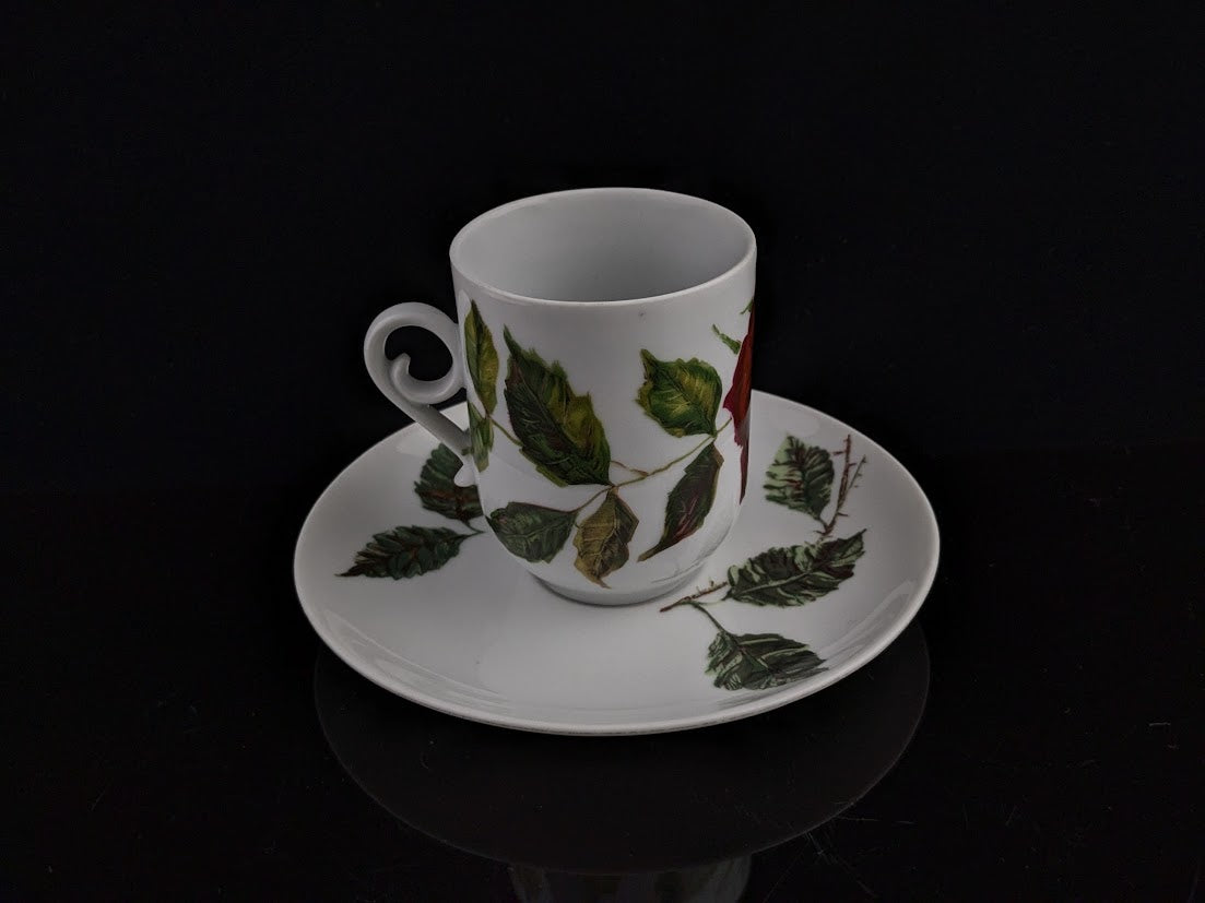 ARABIA/アラビア Ruusu/ルース カップ&ソーサー Anneli Qveflander/アンネリクヴェフランデル Marimekko/マリメッコ [1]